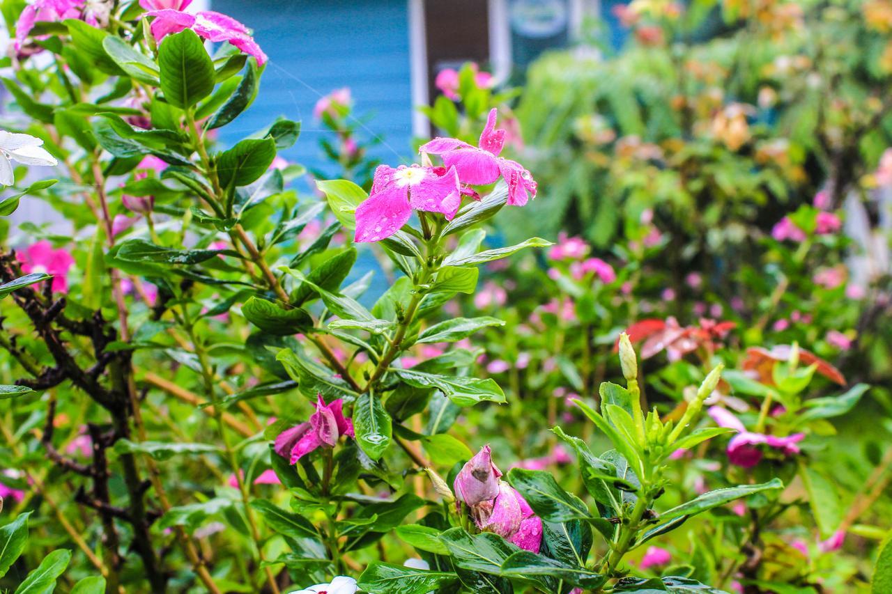 Cottages @ Hill Resort Mu Si Εξωτερικό φωτογραφία